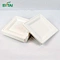 Biodegradable Paper Plates