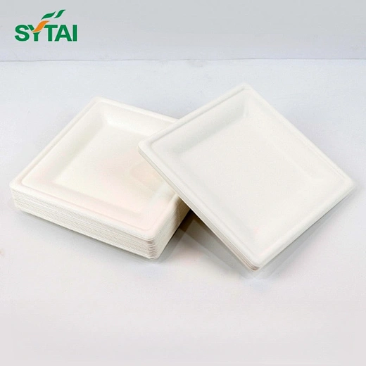 Biodegradable Paper Plates